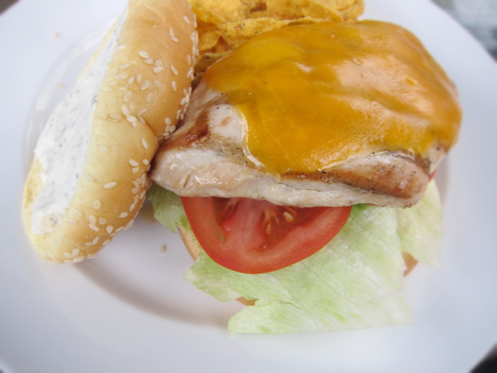 chook burgerSnapseed