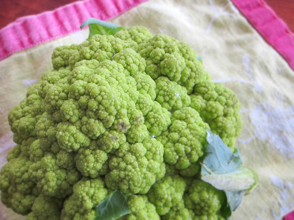 cauli