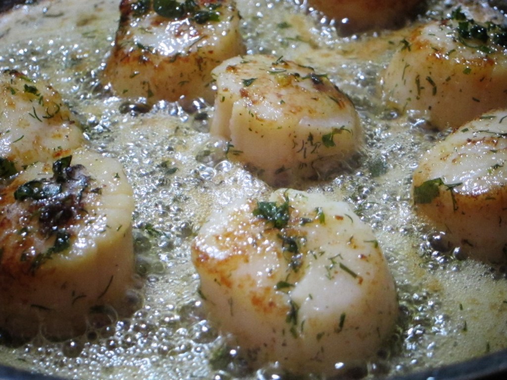 scallops1