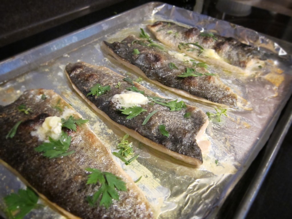 Broiled Trout