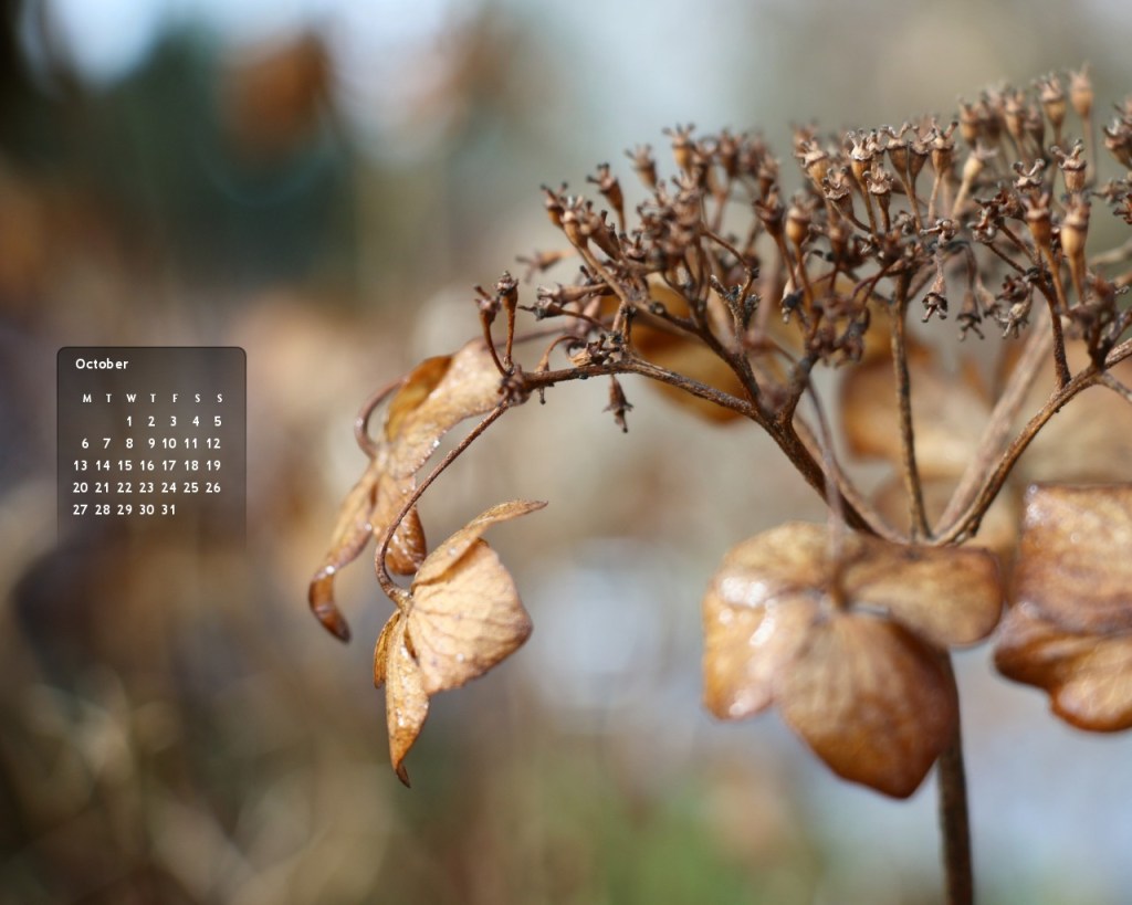 wallpaperefb9e666220a910cb9d1eb18ec18779bf0c71148