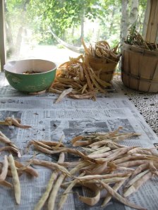 tumblr_inline_mrnb65gfP21s739lu