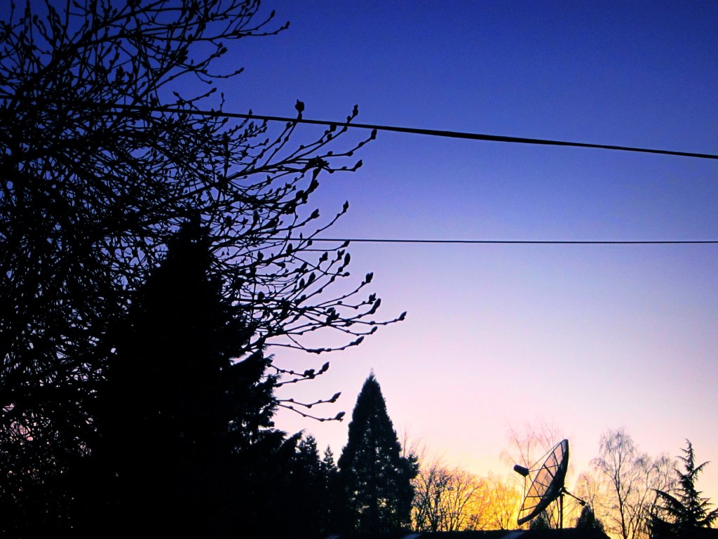 winter sunset 2_Snapseed