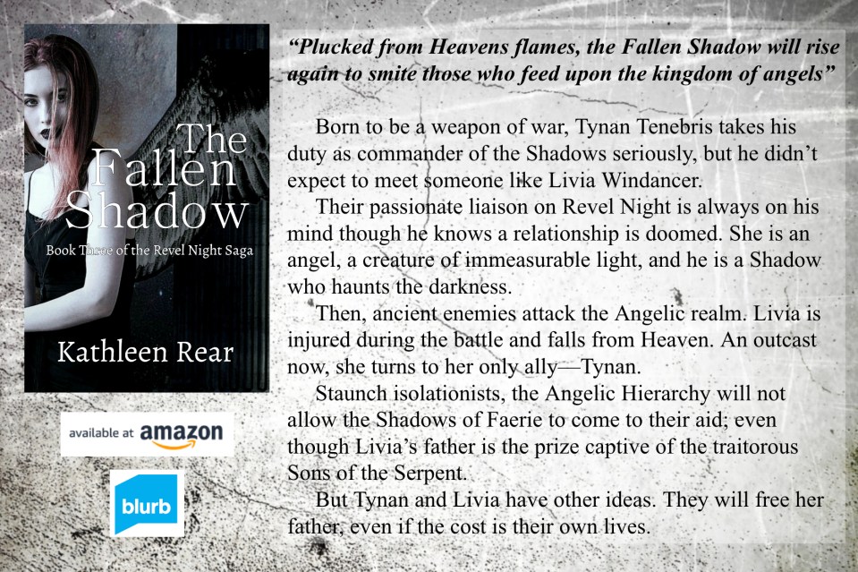 TFS cover blurb promo